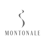 Icon-07-Montonale-SSW